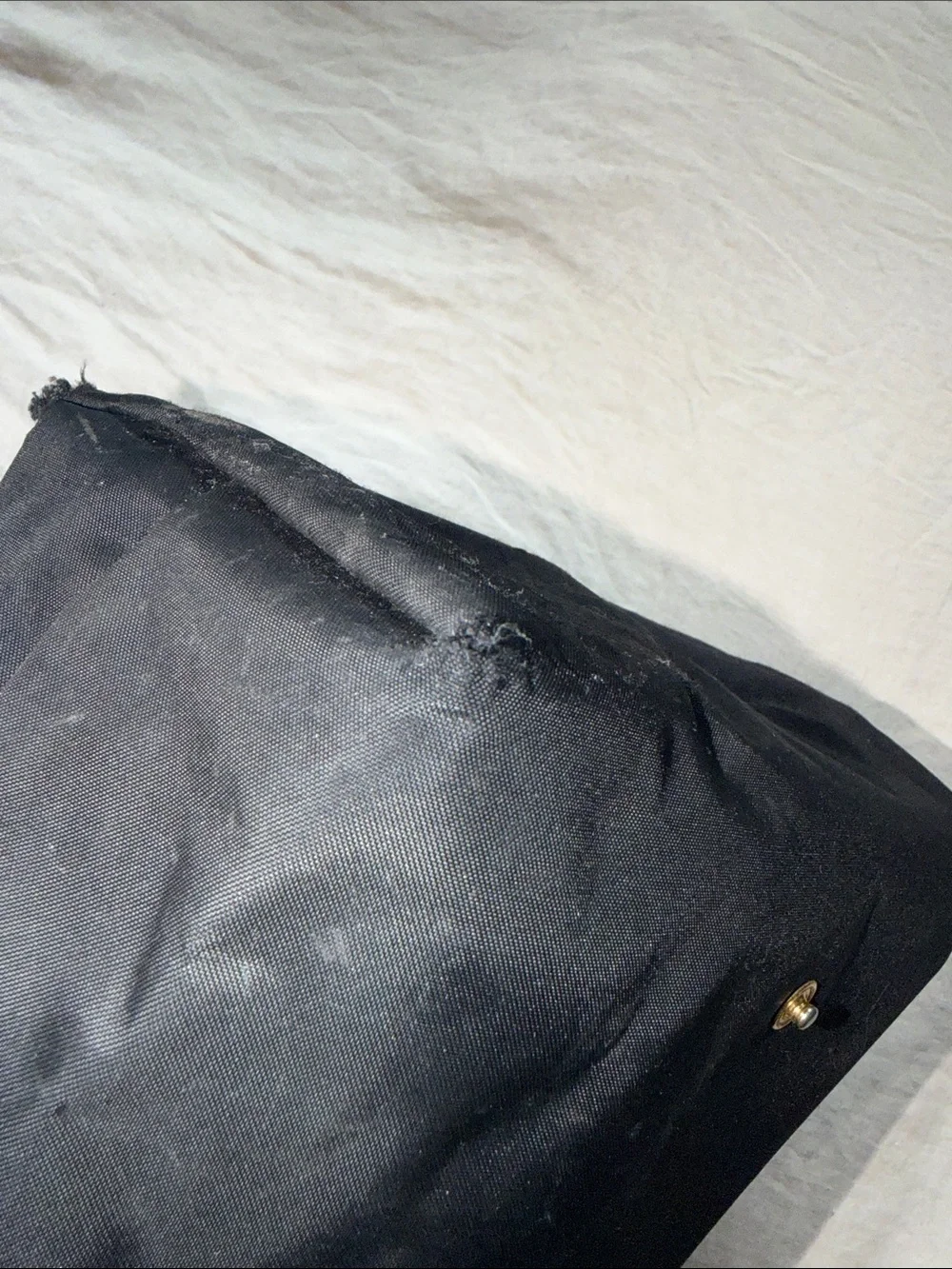 Longchamp medium size
